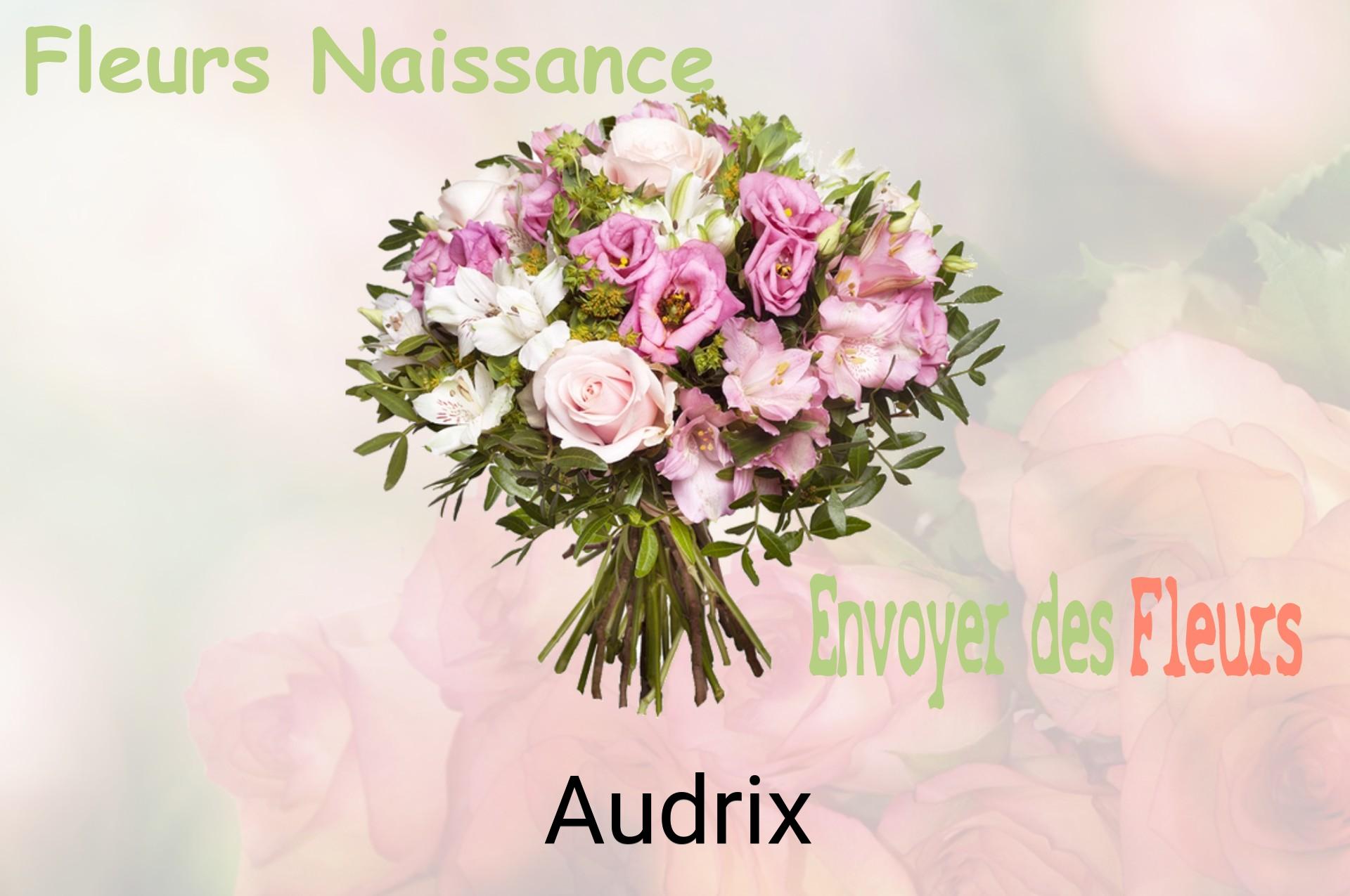 Bouquet de fleurs de naissance livré à Audrix